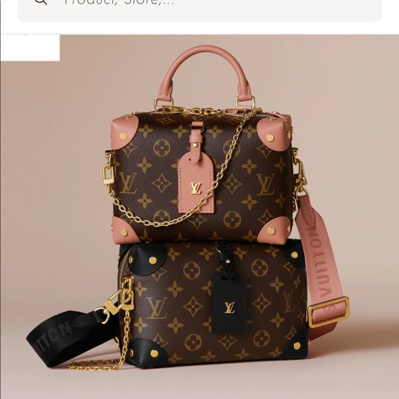 NWT LOUIS VUITTON PETITE MALLE SOUPLE Bag Runway - Picture 5 of 6